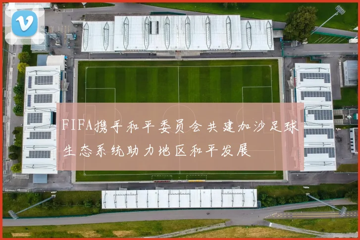 FIFA携手和平委员会共建加沙足球生态系统助力地区和平发展